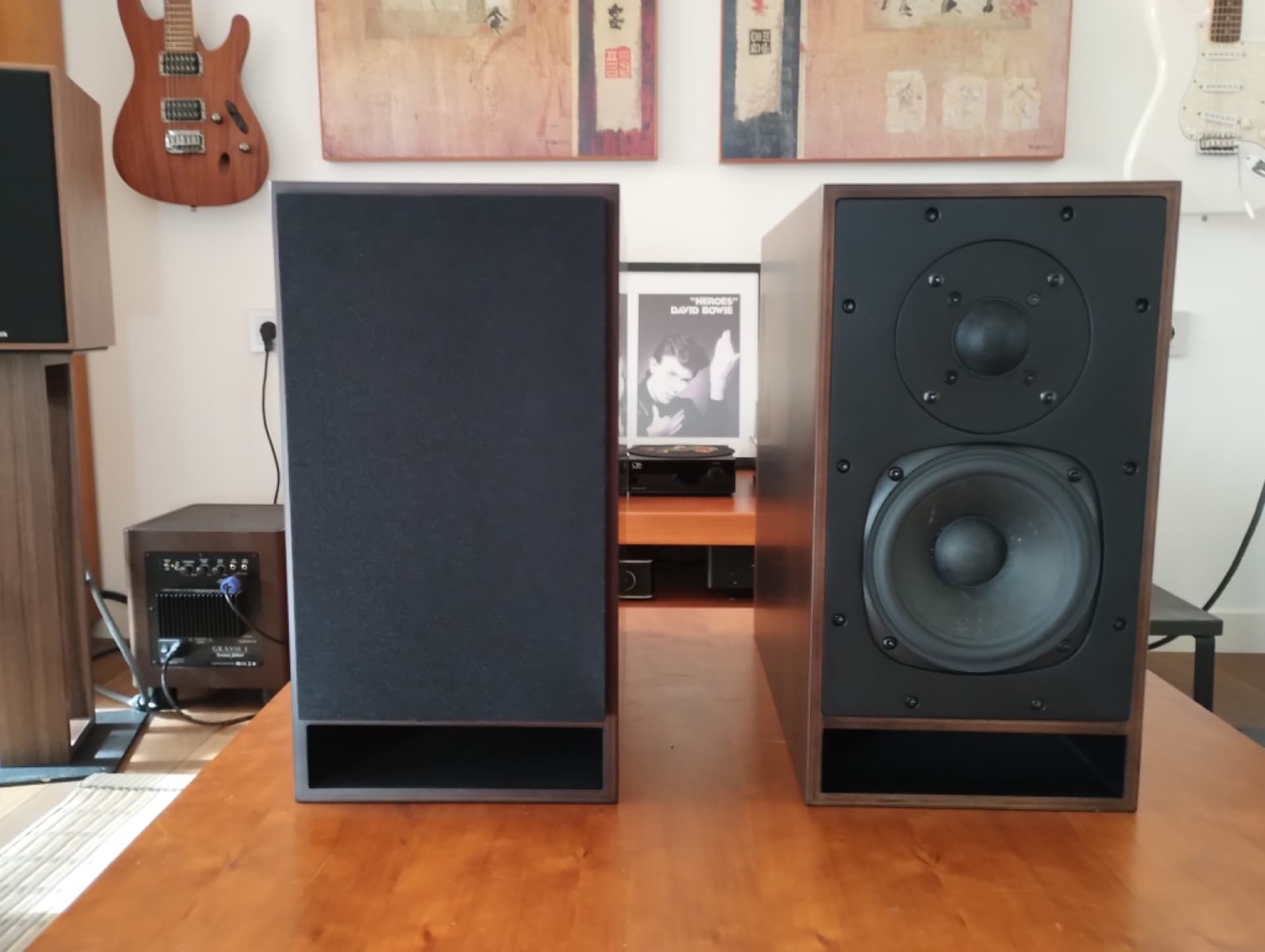 Galion Audio TS Voyager TL – Altavoces Hi-Fi de línea de transmisión (Estado impecable)